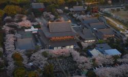 Featured image of post 芯片键合